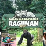 Kebun Binatang Ragunan: Destinasi Edukasi dan Rekreasi yang Memukau di Jakarta